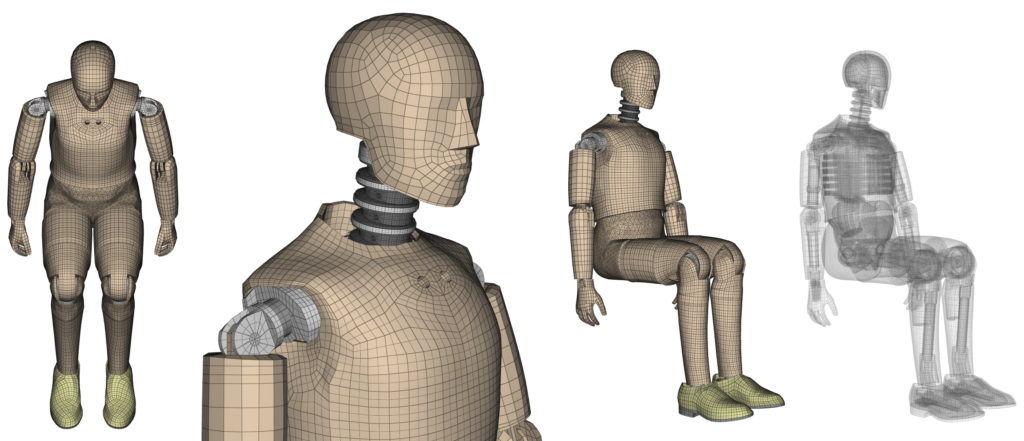 Hybrid III, Male, 50th percentile dummy with MIL-LX leg as an option.