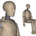Hybrid III dummy model in Impetus MARKET