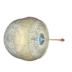 IMPETUS Solver Version 8.1
